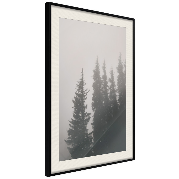 Poster Scent of Forest Mist - gray landscape of misty spruce trees 130385 additionalImage 9