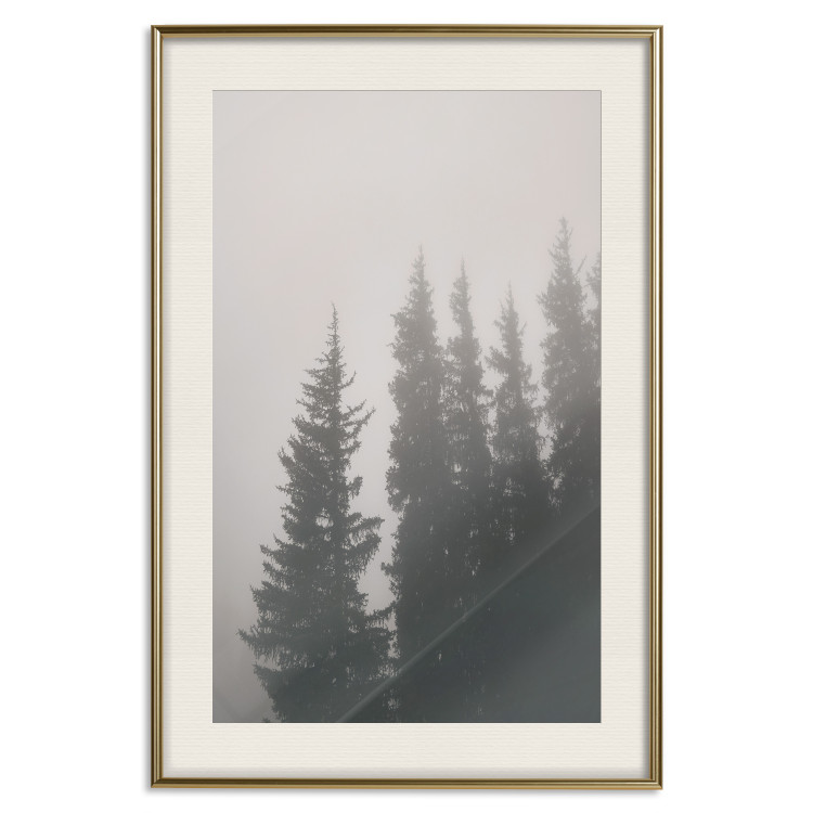 Poster Scent of Forest Mist - gray landscape of misty spruce trees 130385 additionalImage 20