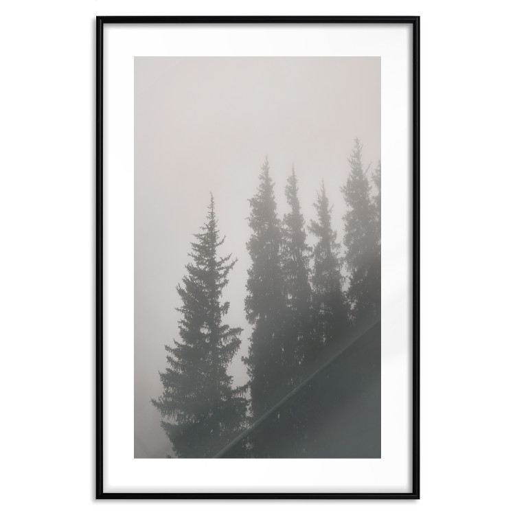 Poster Scent of Forest Mist - gray landscape of misty spruce trees 130385 additionalImage 17