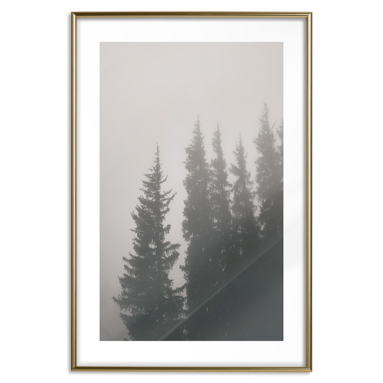 Poster Scent of Forest Mist - gray landscape of misty spruce trees 130385 additionalImage 14