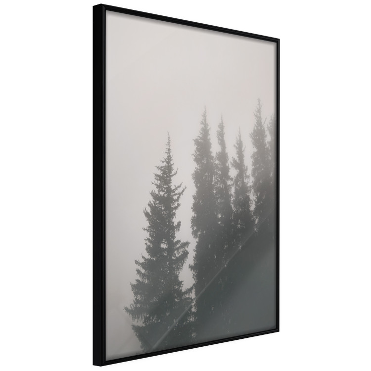 Poster Scent of Forest Mist - gray landscape of misty spruce trees 130385 additionalImage 2