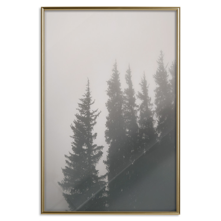 Poster Scent of Forest Mist - gray landscape of misty spruce trees 130385 additionalImage 21