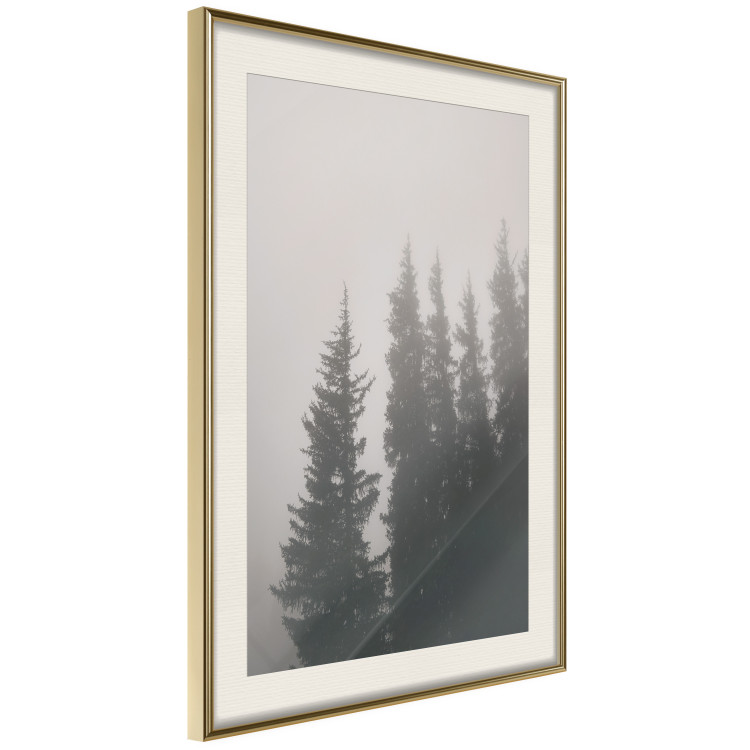 Poster Scent of Forest Mist - gray landscape of misty spruce trees 130385 additionalImage 14