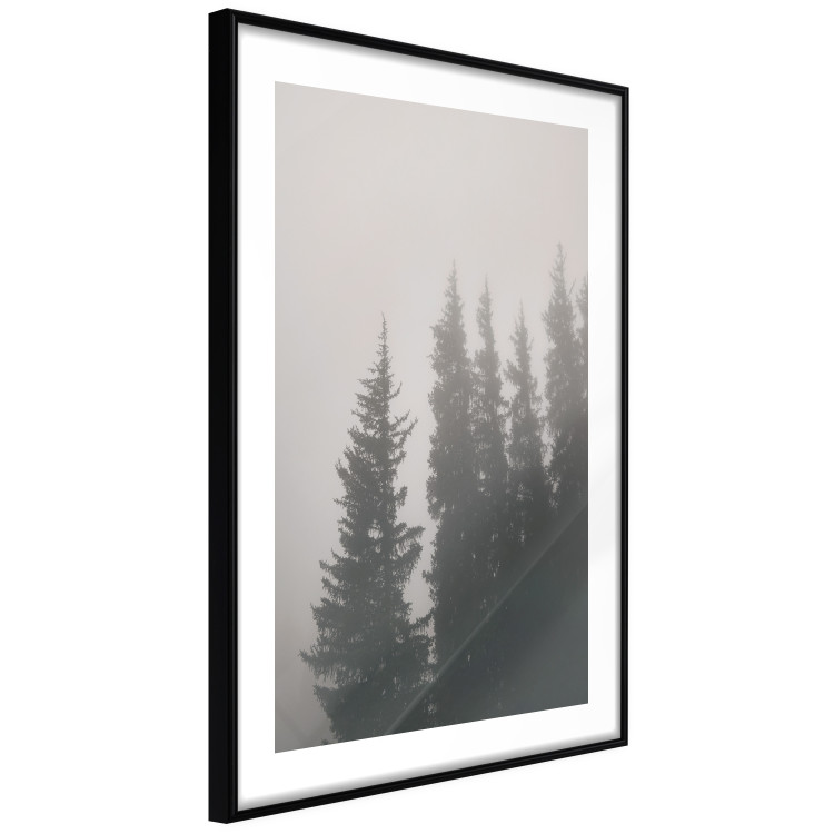Poster Scent of Forest Mist - gray landscape of misty spruce trees 130385 additionalImage 13