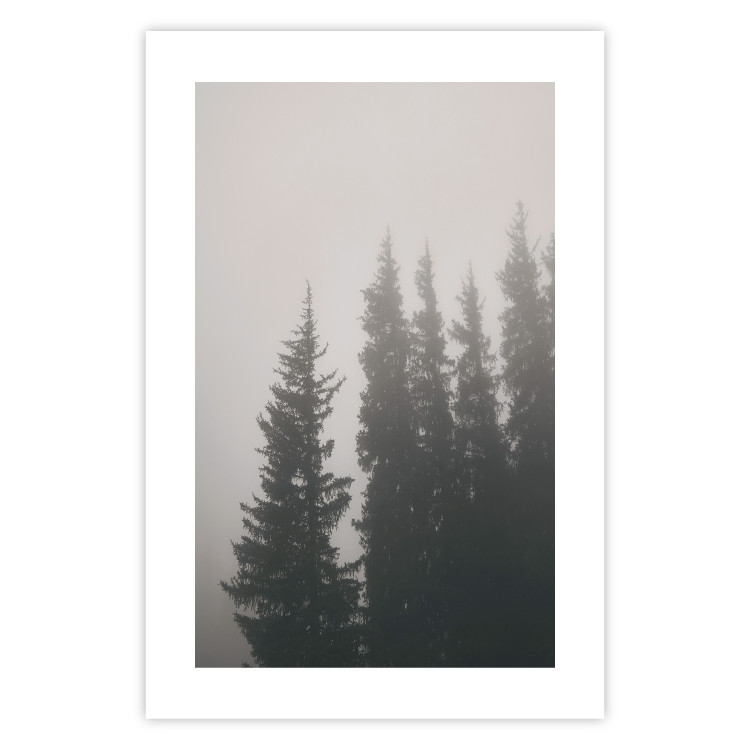Poster Scent of Forest Mist - gray landscape of misty spruce trees 130385 additionalImage 25