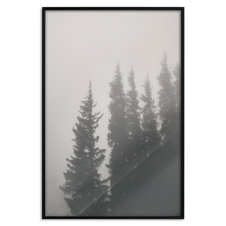 Poster Scent of Forest Mist - gray landscape of misty spruce trees 130385 additionalImage 16