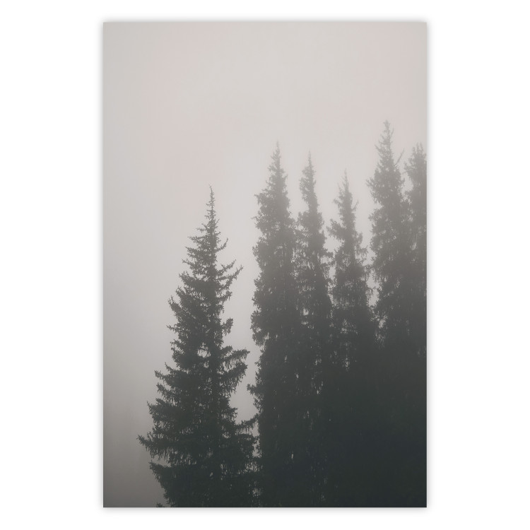 Poster Scent of Forest Mist - gray landscape of misty spruce trees 130385
