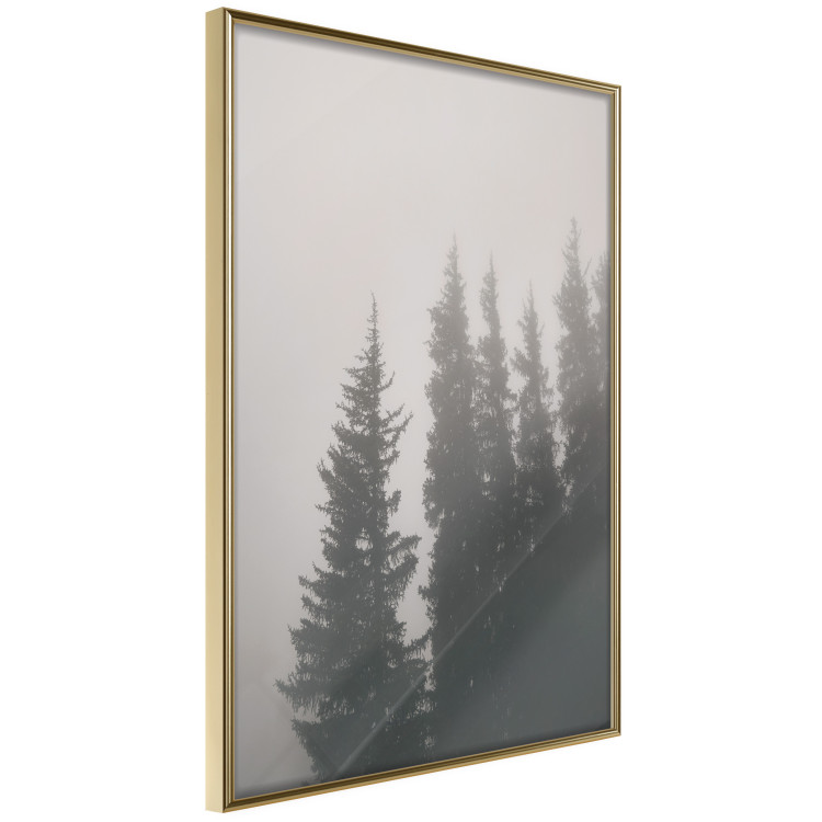 Poster Scent of Forest Mist - gray landscape of misty spruce trees 130385 additionalImage 3