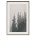 Poster Scent of Forest Mist - gray landscape of misty spruce trees 130385 additionalThumb 19