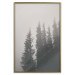 Poster Scent of Forest Mist - gray landscape of misty spruce trees 130385 additionalThumb 21