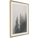 Poster Scent of Forest Mist - gray landscape of misty spruce trees 130385 additionalThumb 14
