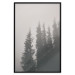 Poster Scent of Forest Mist - gray landscape of misty spruce trees 130385 additionalThumb 16