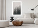 Poster Scent of Forest Mist - gray landscape of misty spruce trees 130385 additionalThumb 8