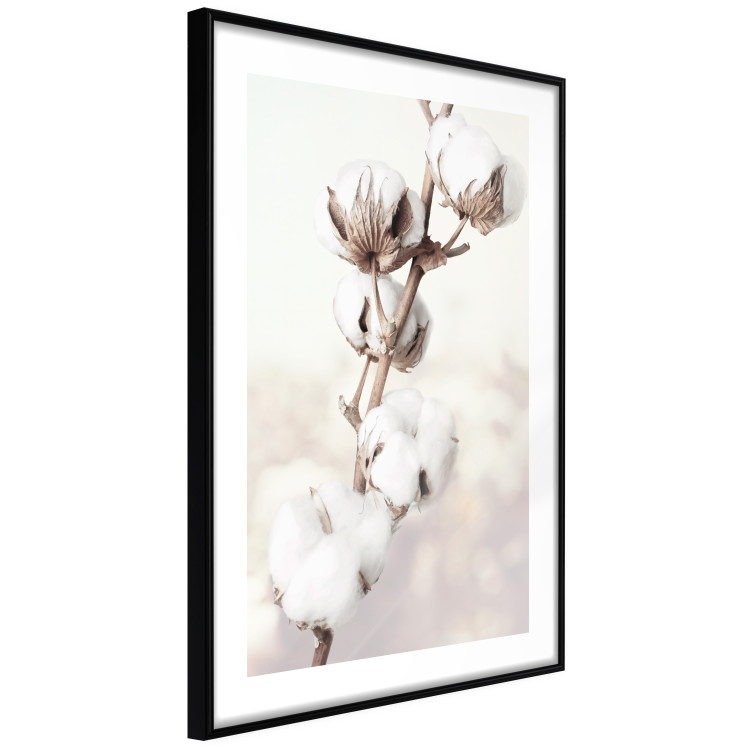 Poster Subtlety of Nature - a landscape of a plant with white flowers on a bright background 130785 additionalImage 6