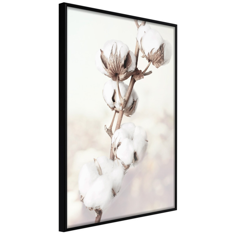 Poster Subtlety of Nature - a landscape of a plant with white flowers on a bright background 130785 additionalImage 11