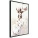 Poster Subtlety of Nature - a landscape of a plant with white flowers on a bright background 130785 additionalThumb 13