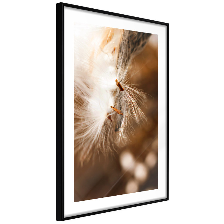 Wall Poster Gentle Swaying - plant with dandelion flower on an orange background 131785 additionalImage 6