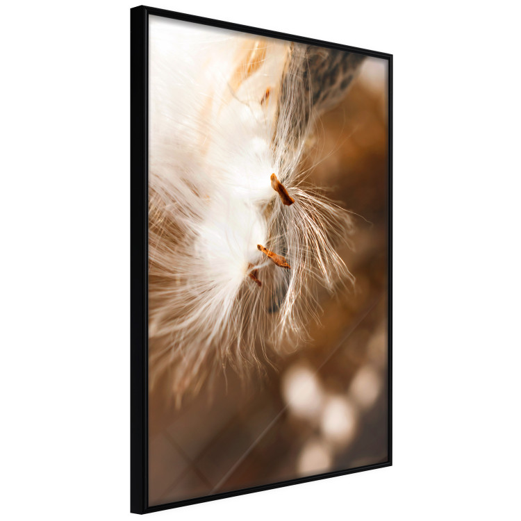 Wall Poster Gentle Swaying - plant with dandelion flower on an orange background 131785 additionalImage 11