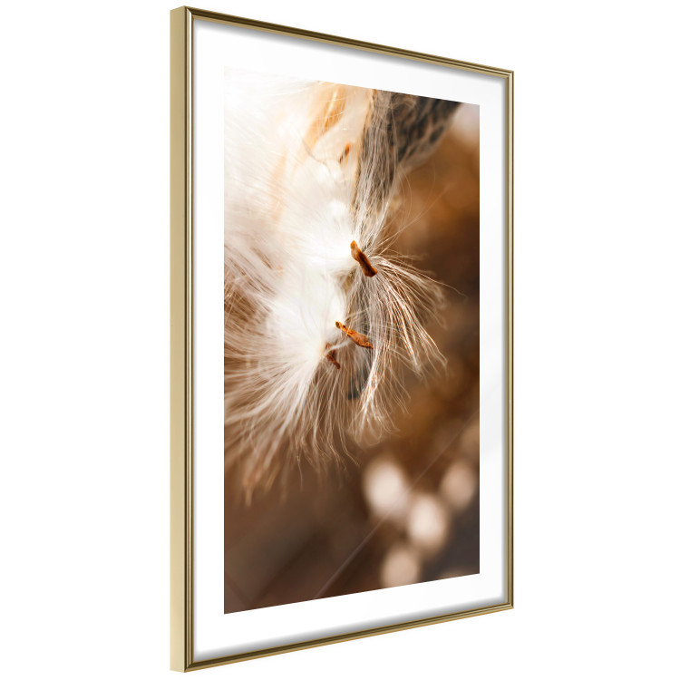 Wall Poster Gentle Swaying - plant with dandelion flower on an orange background 131785 additionalImage 7