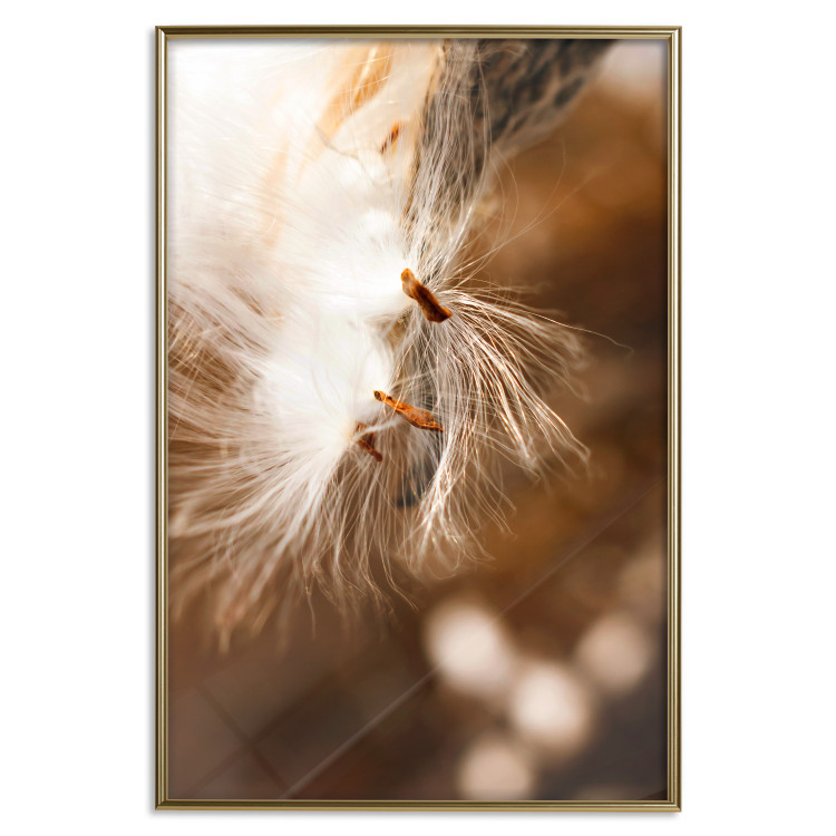 Wall Poster Gentle Swaying - plant with dandelion flower on an orange background 131785 additionalImage 17