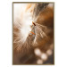 Wall Poster Gentle Swaying - plant with dandelion flower on an orange background 131785 additionalThumb 17