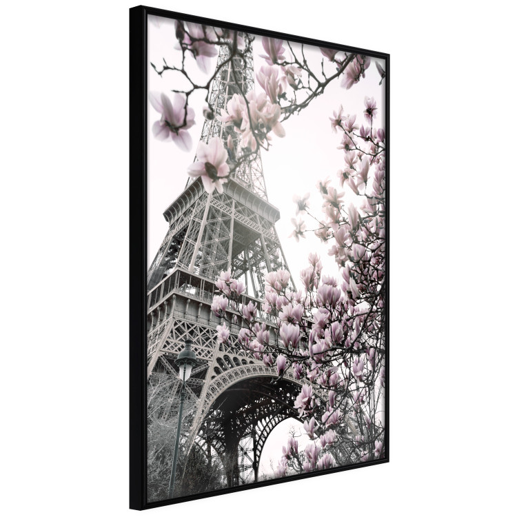 Wall Poster Magnolias in the Sun of Paris - pink flowers against the gray backdrop of the Eiffel Tower 132285 additionalImage 11