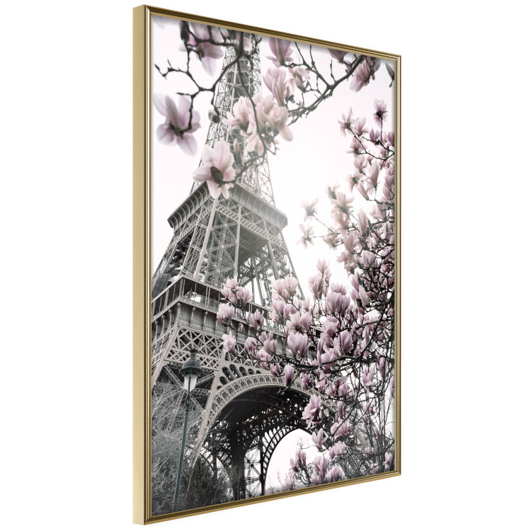 Wall Poster Magnolias in the Sun of Paris - pink flowers against the gray backdrop of the Eiffel Tower 132285 additionalImage 12