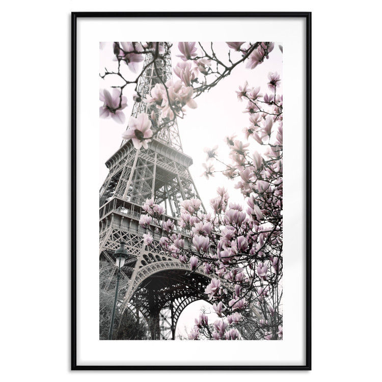 Wall Poster Magnolias in the Sun of Paris - pink flowers against the gray backdrop of the Eiffel Tower 132285 additionalImage 15