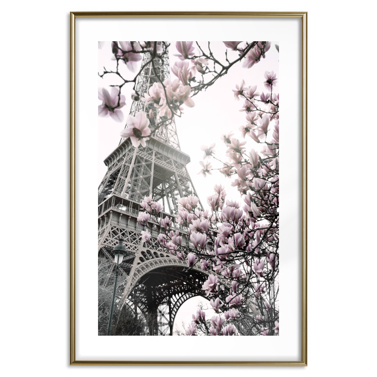 Wall Poster Magnolias in the Sun of Paris - pink flowers against the gray backdrop of the Eiffel Tower 132285 additionalImage 14