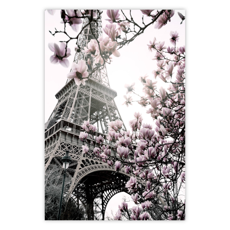 Wall Poster Magnolias in the Sun of Paris - pink flowers against the gray backdrop of the Eiffel Tower 132285