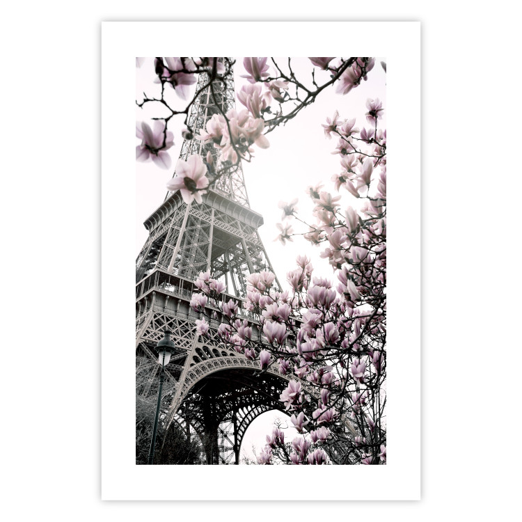 Wall Poster Magnolias in the Sun of Paris - pink flowers against the gray backdrop of the Eiffel Tower 132285 additionalImage 19