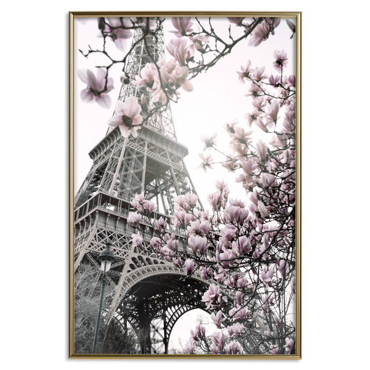 Wall Poster Magnolias in the Sun of Paris - pink flowers against the gray backdrop of the Eiffel Tower 132285 additionalImage 17
