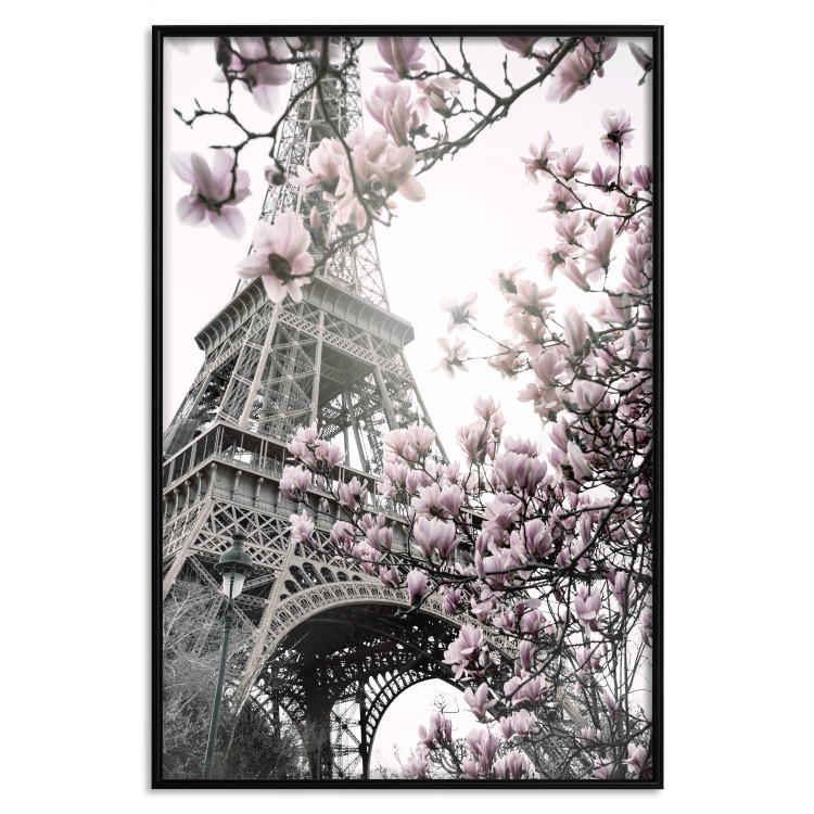 Wall Poster Magnolias in the Sun of Paris - pink flowers against the gray backdrop of the Eiffel Tower 132285 additionalImage 16