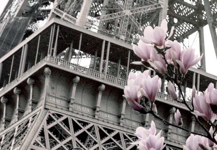 Wall Poster Magnolias in the Sun of Paris - pink flowers against the gray backdrop of the Eiffel Tower 132285 additionalImage 9