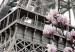 Wall Poster Magnolias in the Sun of Paris - pink flowers against the gray backdrop of the Eiffel Tower 132285 additionalThumb 9