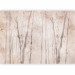 Photo Wallpaper Minimalist beige forest - treescape with subtle patterns 138385 additionalThumb 5