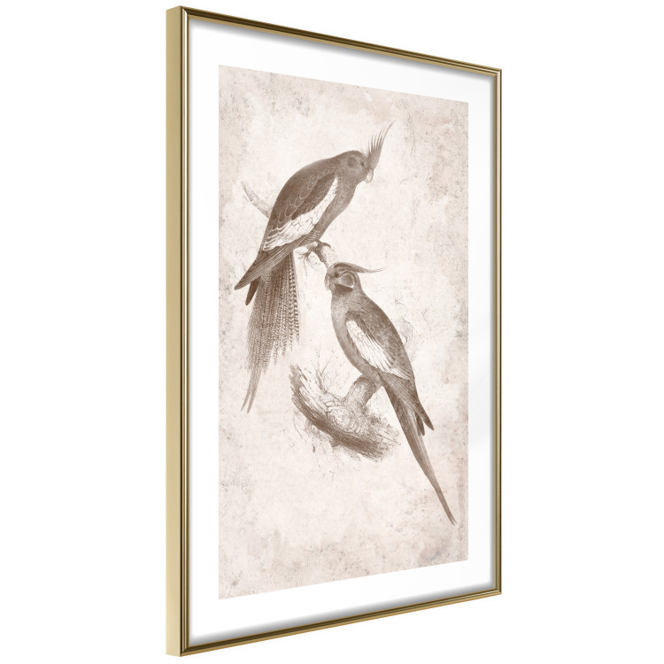 Wall Poster Parrots in the Style of Boho - Two Birds on the Branches and a Light Background 145185 additionalImage 10