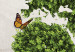 Canvas Green land of butterflies 55385 additionalThumb 4