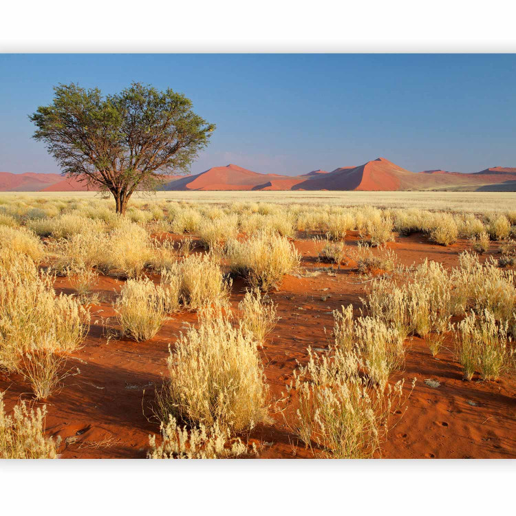 Wall Mural Desert landscape, Namibia 60285 additionalImage 5