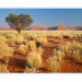 Wall Mural Desert landscape, Namibia 60285 additionalThumb 1