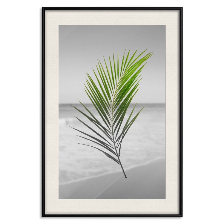 Poster Green Palm Branch - Tropical plant and sea with beach in the background 114395 additionalImage 18