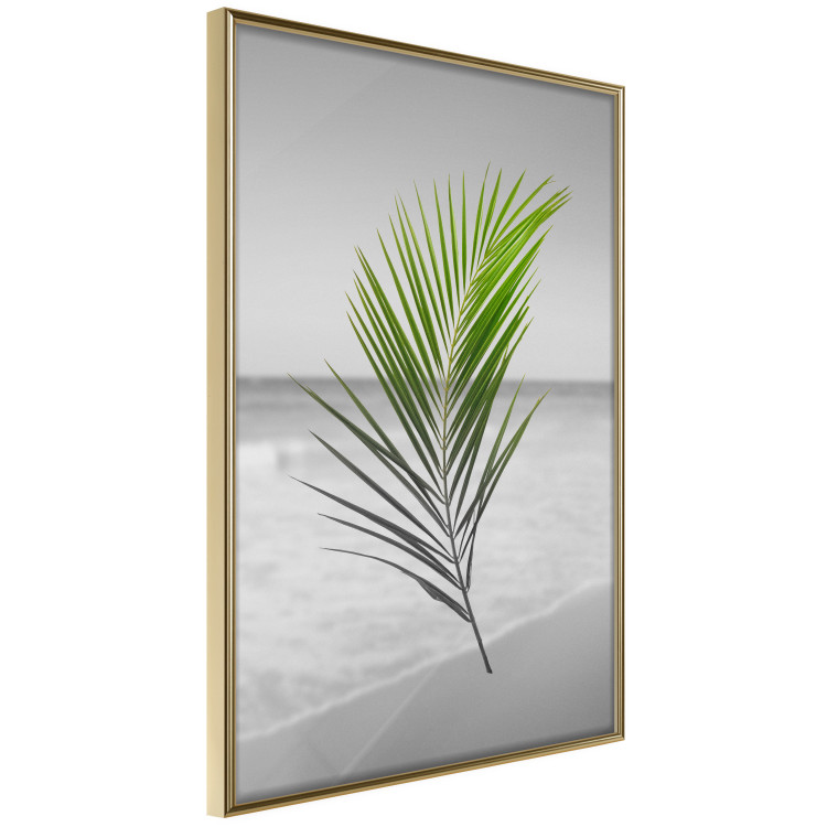 Poster Green Palm Branch - Tropical plant and sea with beach in the background 114395 additionalImage 14