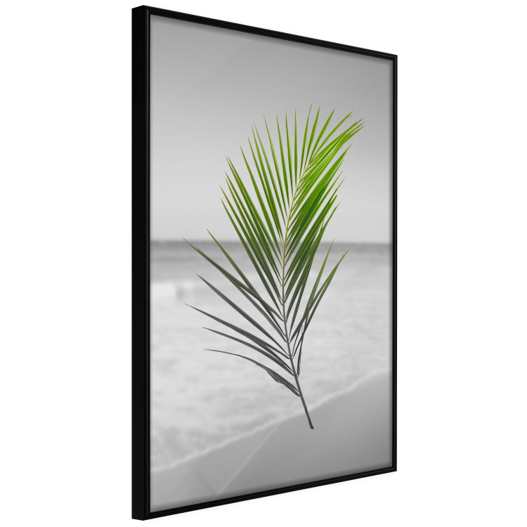 Poster Green Palm Branch - Tropical plant and sea with beach in the background 114395 additionalImage 12