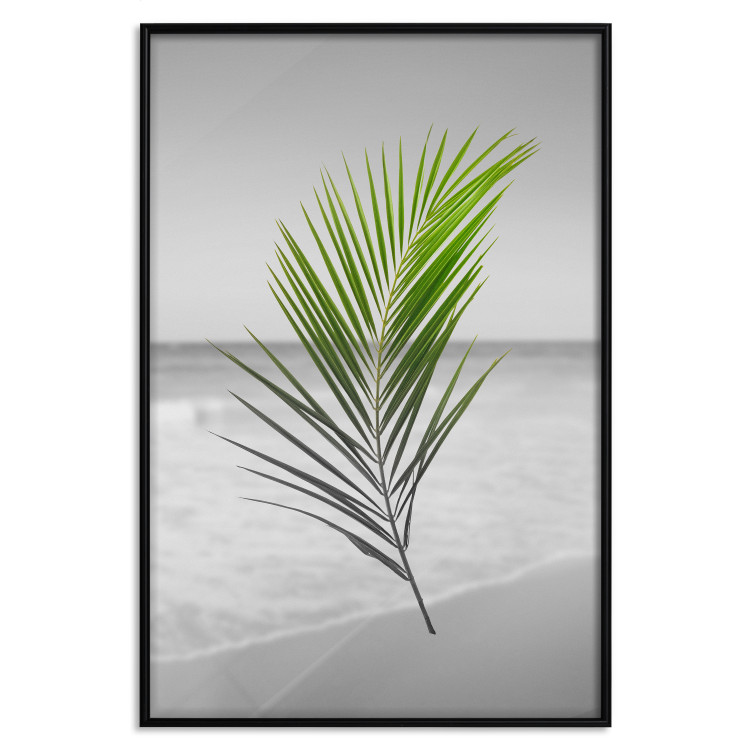 Poster Green Palm Branch - Tropical plant and sea with beach in the background 114395 additionalImage 24