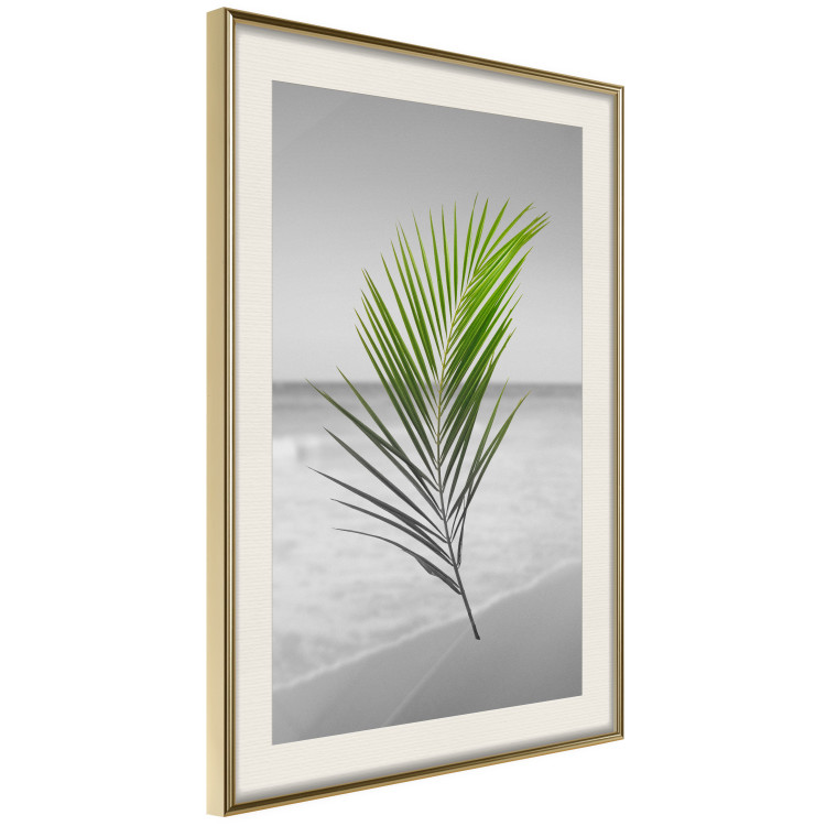 Poster Green Palm Branch - Tropical plant and sea with beach in the background 114395 additionalImage 2