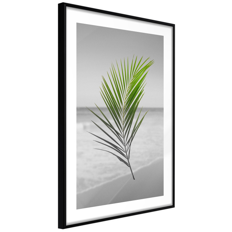 Poster Green Palm Branch - Tropical plant and sea with beach in the background 114395 additionalImage 13