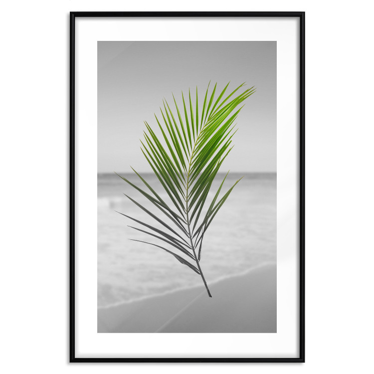 Poster Green Palm Branch - Tropical plant and sea with beach in the background 114395 additionalImage 17