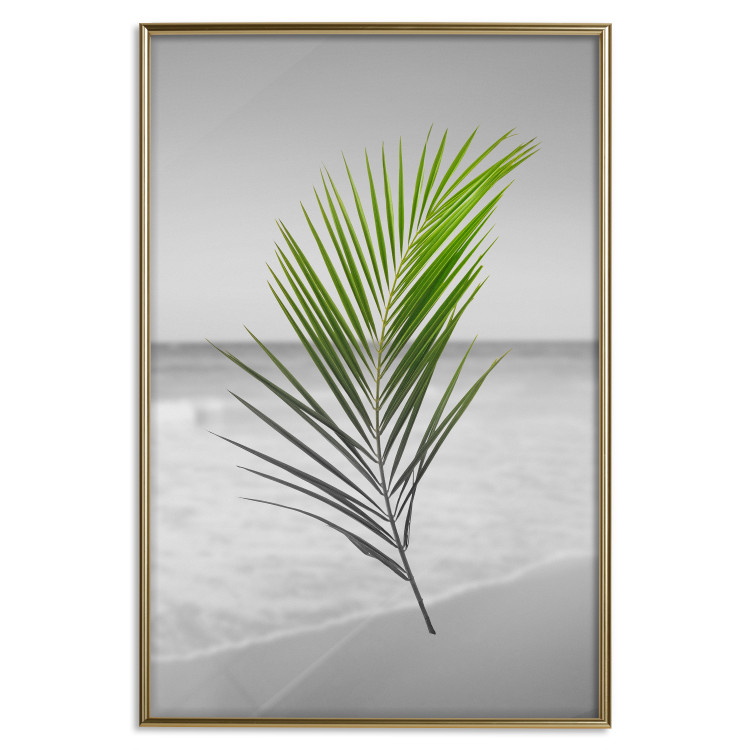 Poster Green Palm Branch - Tropical plant and sea with beach in the background 114395 additionalImage 20
