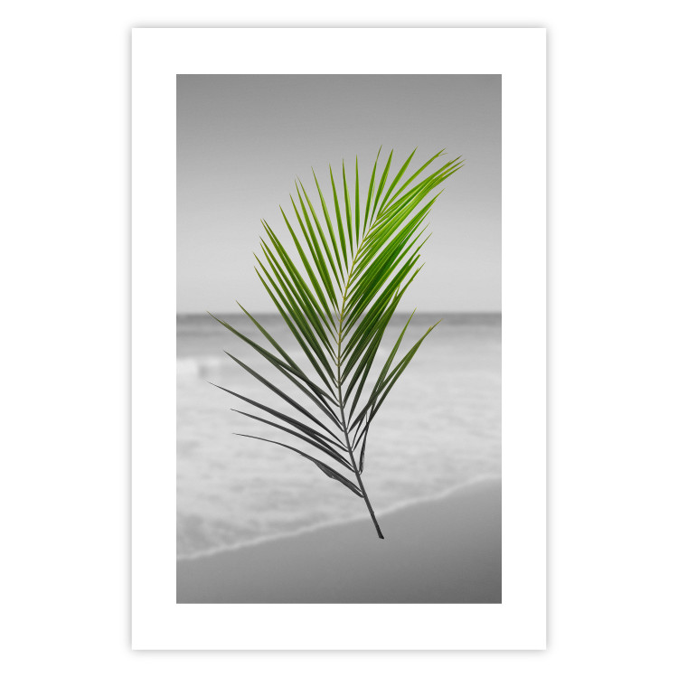 Poster Green Palm Branch - Tropical plant and sea with beach in the background 114395 additionalImage 25