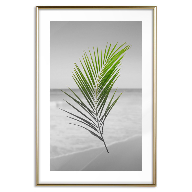 Poster Green Palm Branch - Tropical plant and sea with beach in the background 114395 additionalImage 16